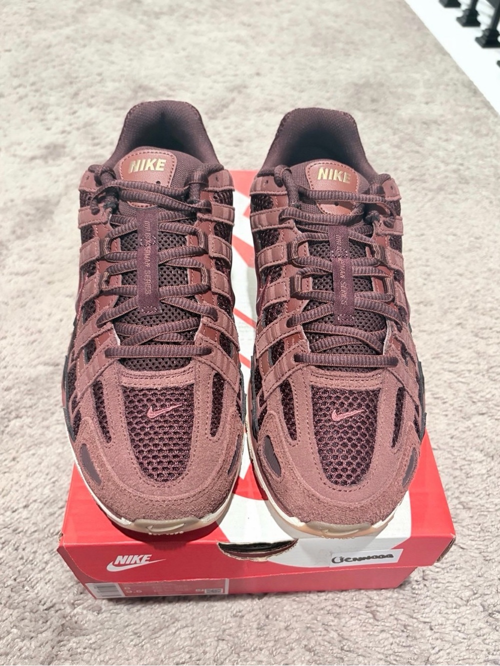 Nike P-6000 SE